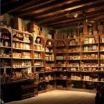 Gondola Store Shelving